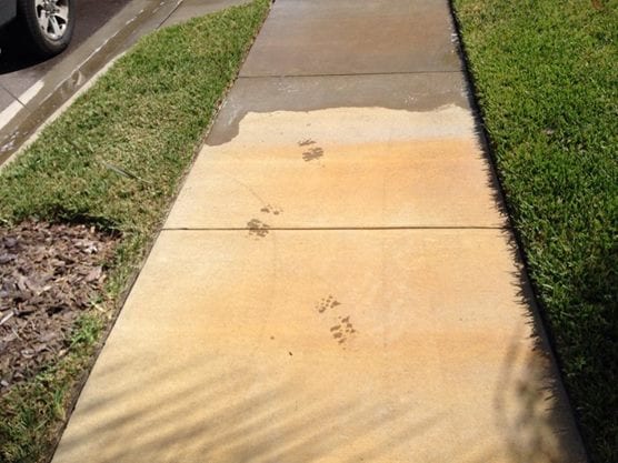 Rust Removal | Davenport FL | Buddys Pressure Washing