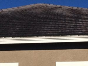 Roof Cleaning Davenport